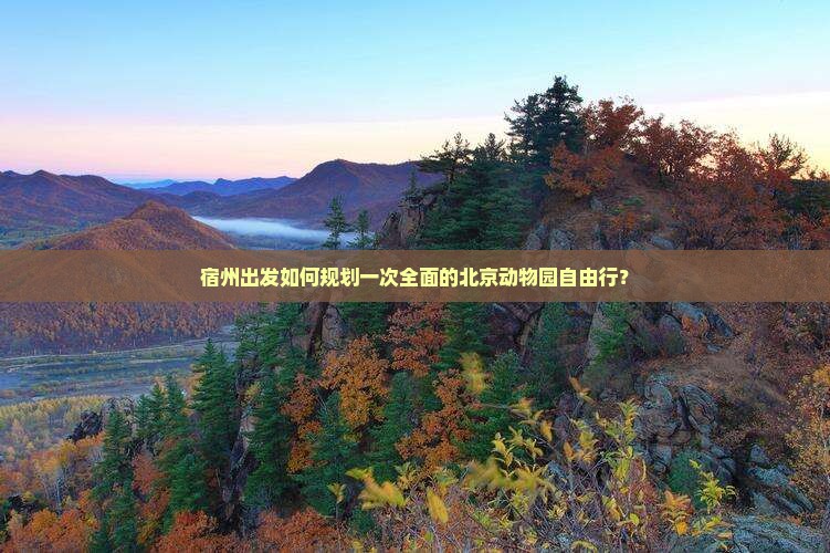 宿州出发如何规划一次全面的北京动物园自由行？