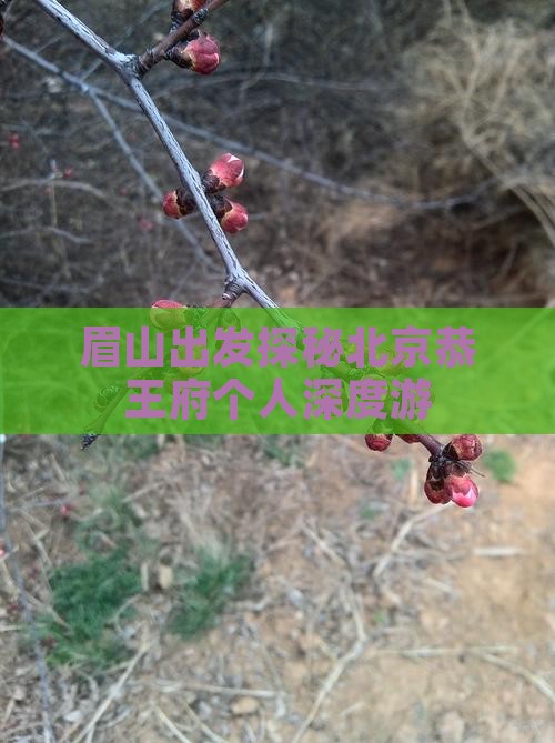 眉山出发探秘北京恭王府个人深度游