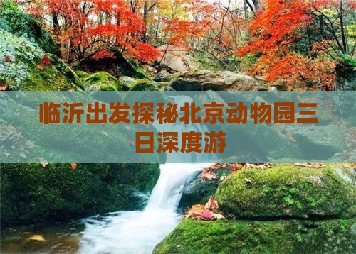 临沂出发探秘北京动物园三日深度游