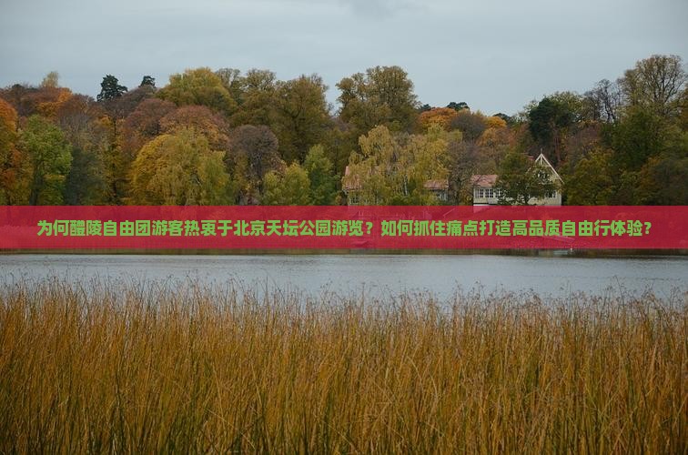 为何醴陵自由团游客热衷于北京天坛公园游览？如何抓住痛点打造高品质自由行体验？