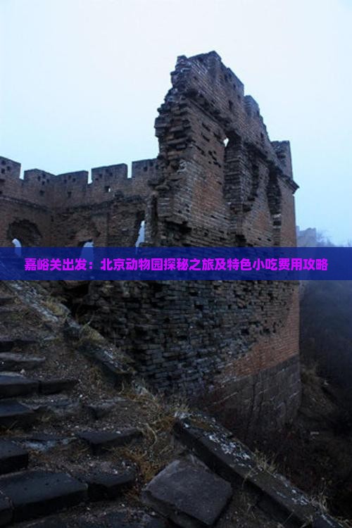 嘉峪关出发：北京动物园探秘之旅及特色小吃费用攻略
