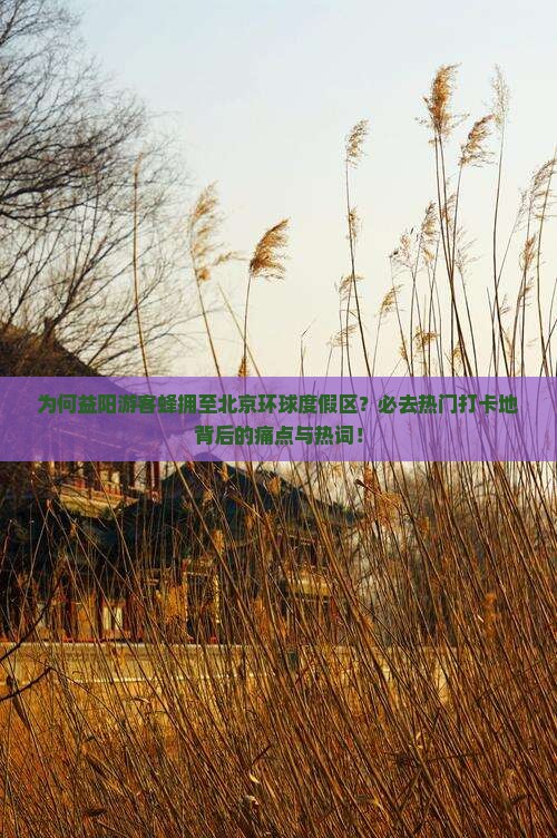 为何益阳游客蜂拥至北京环球度假区？必去热门打卡地背后的痛点与热词！