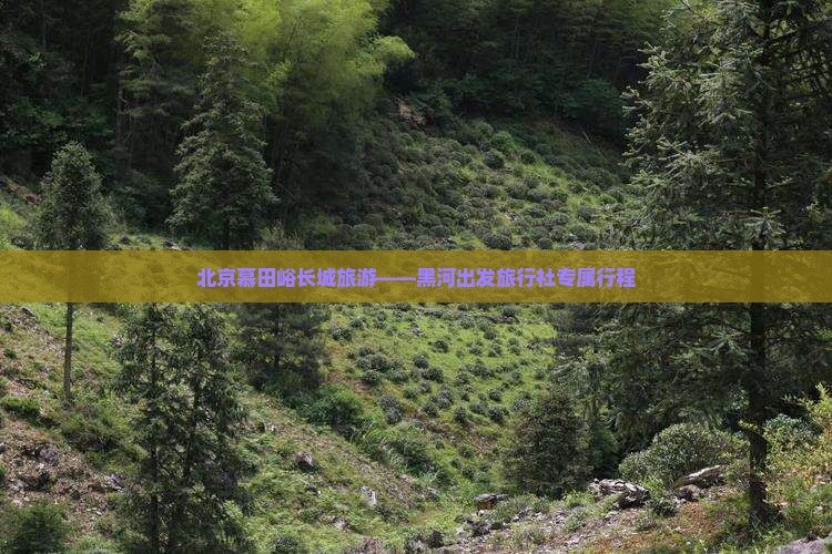 北京慕田峪长城旅游——黑河出发旅行社专属行程