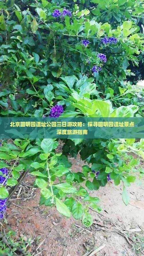 北京圆明园遗址公园三日游攻略：探寻圆明园遗址景点深度旅游指南