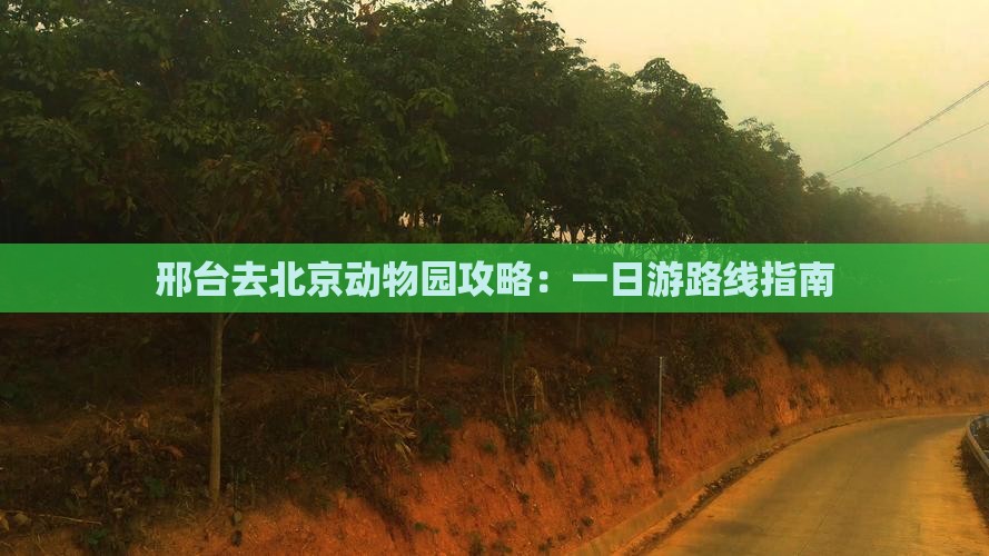 邢台去北京动物园攻略：一日游路线指南