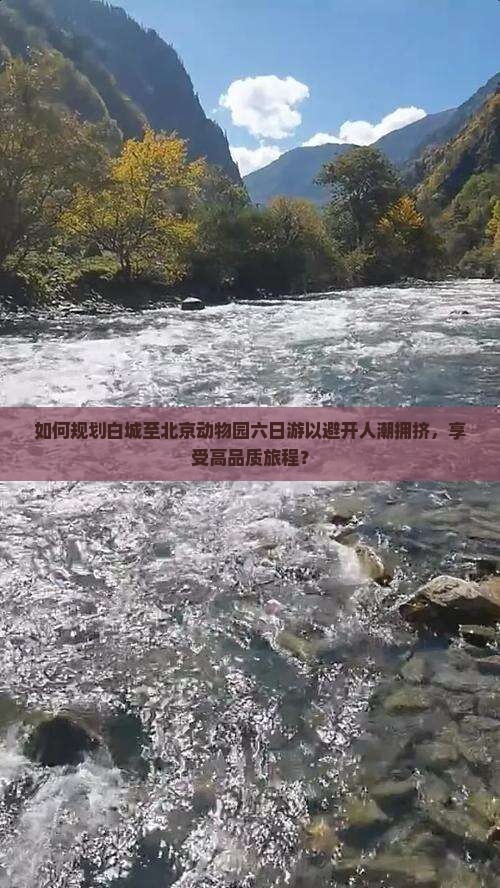 如何规划白城至北京动物园六日游以避开人潮拥挤，享受高品质旅程？