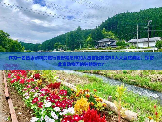 作为一名热衷动物的旅行爱好宅怎样加入昌吉出发的30人大型旅游团，探访北京动物园的独特魅力？