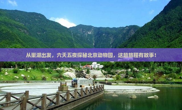 从巢湖出发，六天五夜探秘北京动物园，这趟旅程有故事！