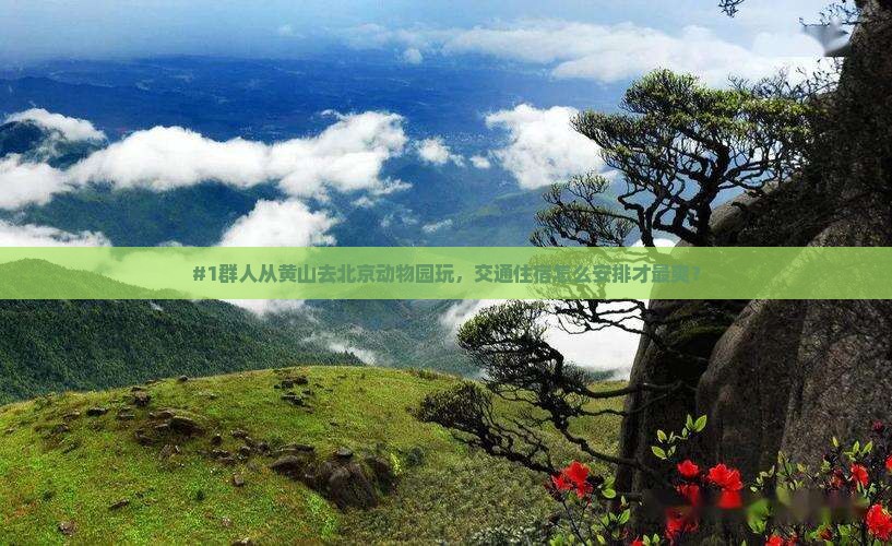 #1群人从黄山去北京动物园玩，交通住宿怎么安排才最爽？