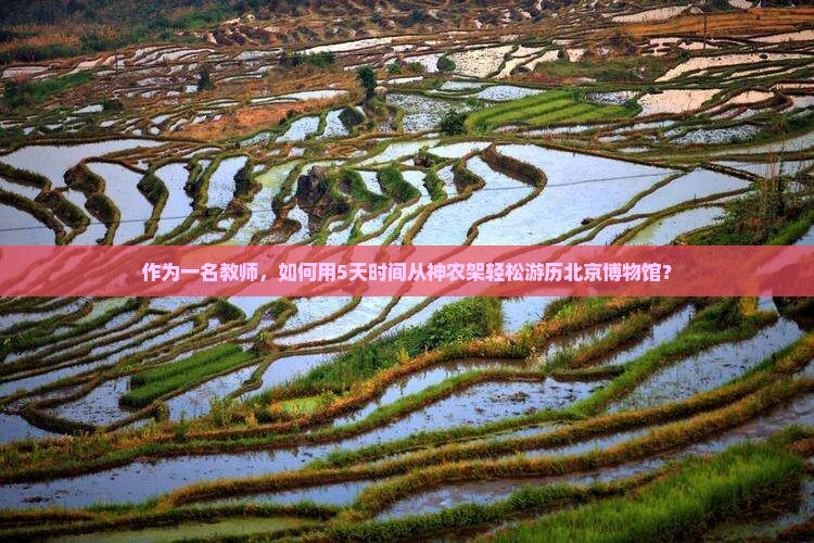 作为一名教师，如何用5天时间从神农架轻松游历北京博物馆？