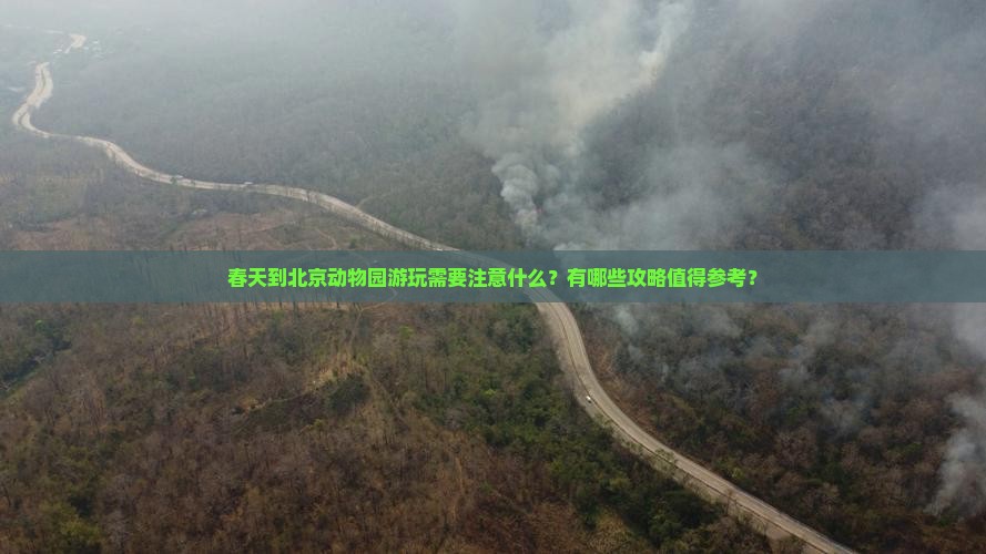 春天到北京动物园游玩需要注意什么？有哪些攻略值得参考？