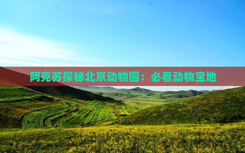 阿克苏探秘北京动物园：必看动物宝地