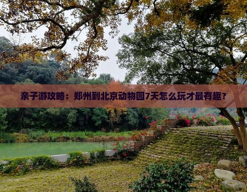 亲子游攻略：郑州到北京动物园7天怎么玩才最有趣？