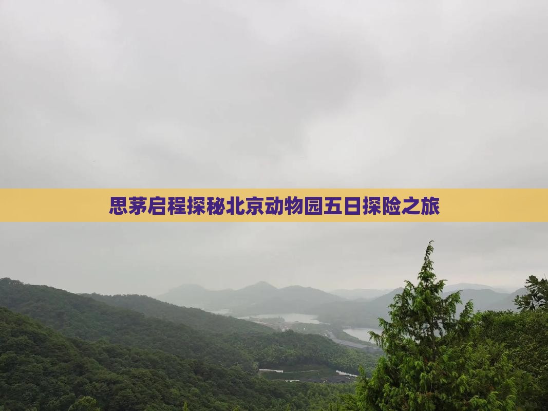 思茅启程探秘北京动物园五日探险之旅