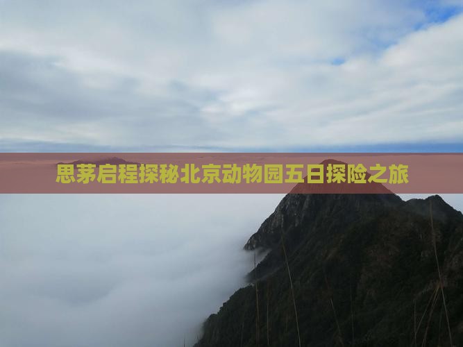 思茅启程探秘北京动物园五日探险之旅