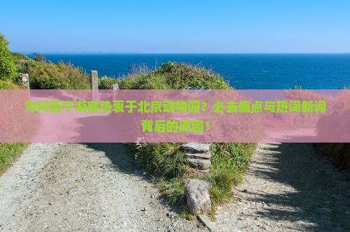 为何西宁游客热衷于北京动物园？必去痛点与热词新词背后的原因！