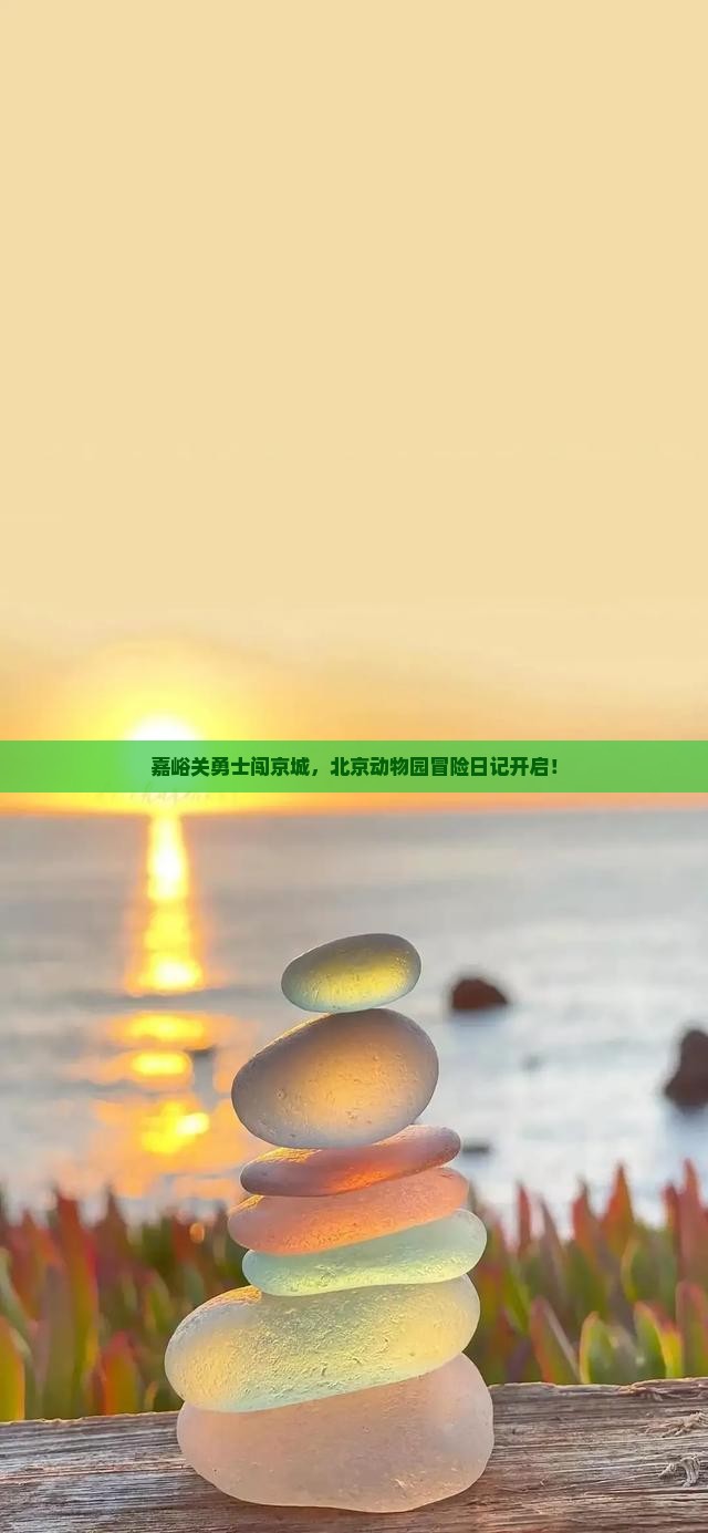 嘉峪关勇士闯京城，北京动物园冒险日记开启！