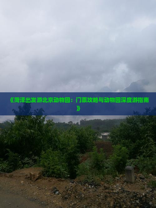 《菏泽出发游北京动物园：门票攻略与动物园深度游指南》
