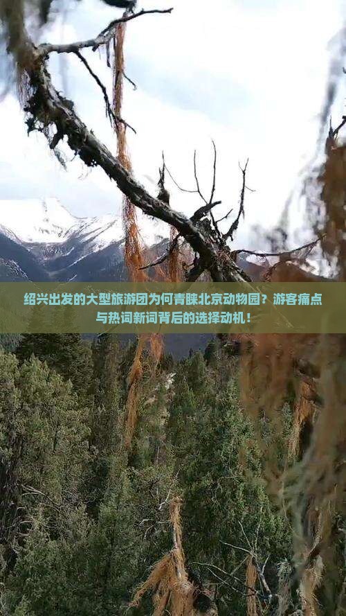绍兴出发的大型旅游团为何青睐北京动物园？游客痛点与热词新词背后的选择动机！