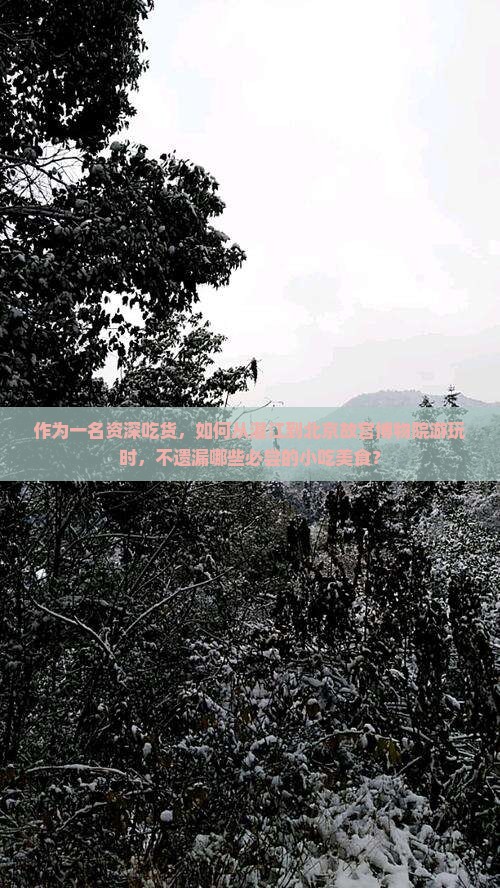 作为一名资深吃货，如何从湛江到北京故宫博物院游玩时，不遗漏哪些必尝的小吃美食？