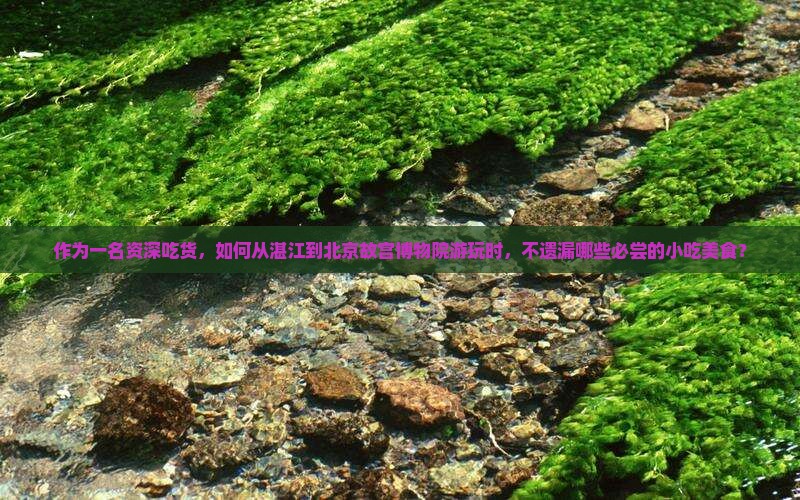 作为一名资深吃货，如何从湛江到北京故宫博物院游玩时，不遗漏哪些必尝的小吃美食？