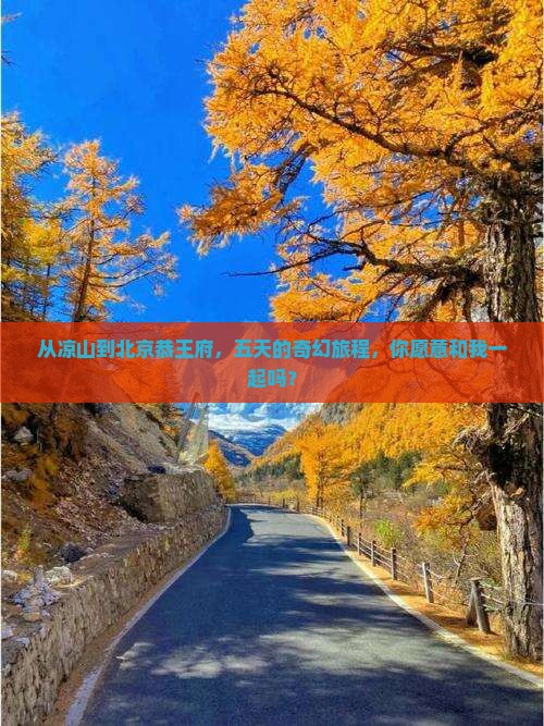 从凉山到北京恭王府，五天的奇幻旅程，你愿意和我一起吗？