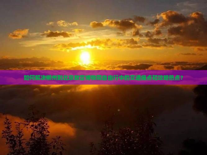 如何解决郴州到北京故宫博物院自由行中的交通痛点和攻略热点？