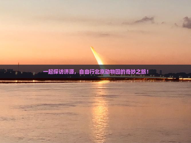 一起探访济源，自由行北京动物园的奇妙之旅！