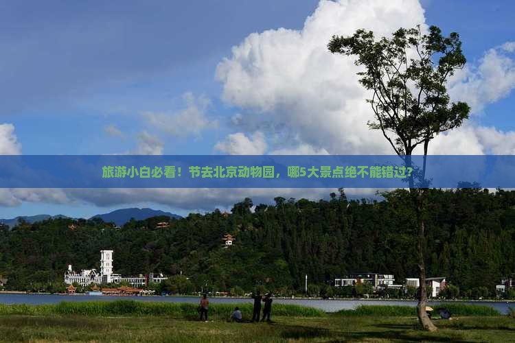 旅游小白必看！节去北京动物园，哪5大景点绝不能错过？