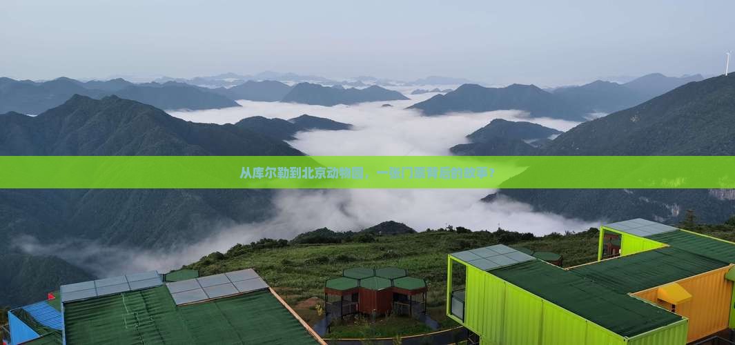从库尔勒到北京动物园，一张门票背后的故事？