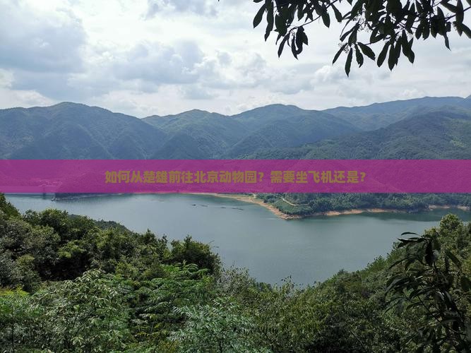 如何从楚雄前往北京动物园？需要坐飞机还是？