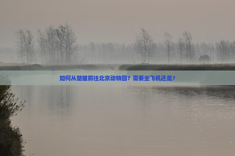 如何从楚雄前往北京动物园？需要坐飞机还是？