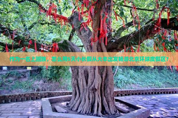作为一名上班族，怎么用5天小长假从大丰出发畅游北京环球度假区？