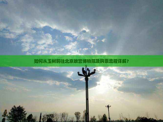 如何从玉树前往北京故宫博物院及购票流程详解？