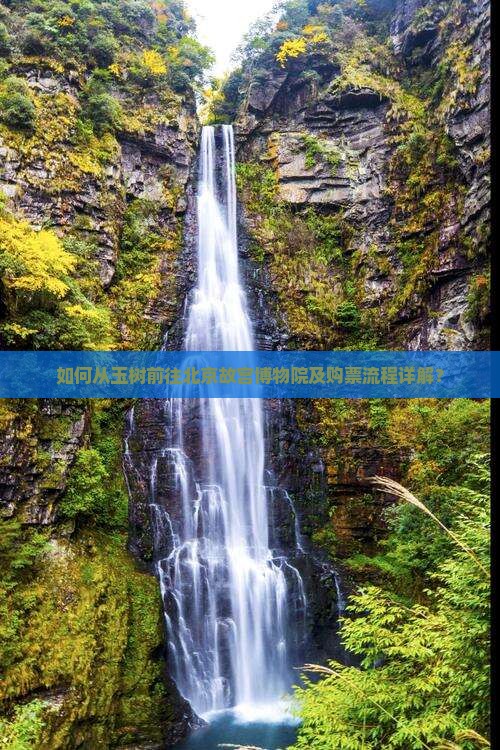如何从玉树前往北京故宫博物院及购票流程详解？