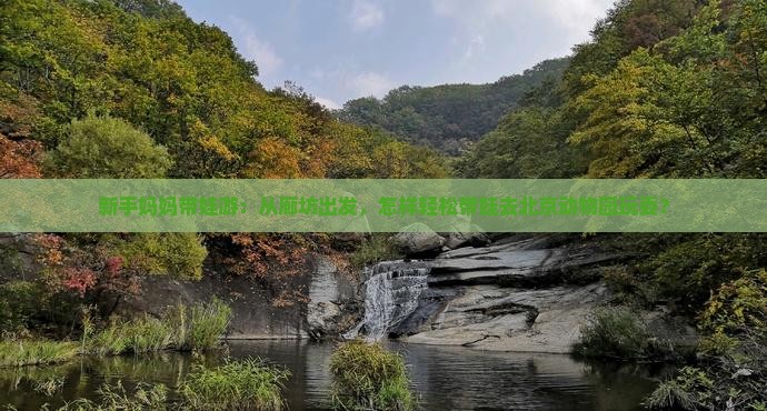 新手妈妈带娃游：从廊坊出发，怎样轻松带娃去北京动物园玩耍？
