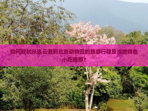 如何规划从连云港到北京动物园的旅游行程及当地特色小吃推荐？