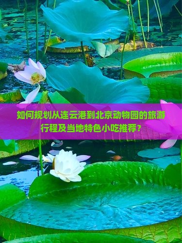 如何规划从连云港到北京动物园的旅游行程及当地特色小吃推荐？