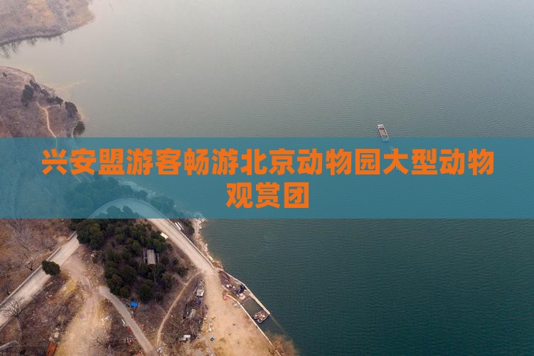 兴安盟游客畅游北京动物园大型动物观赏团