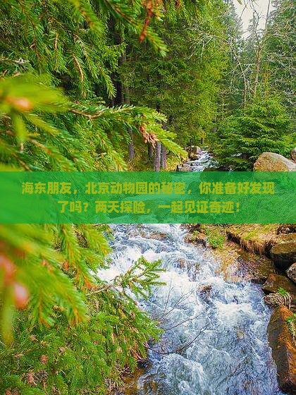 海东朋友，北京动物园的秘密，你准备好发现了吗？两天探险，一起见证奇迹！