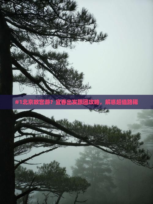 #1北京故宫游？宜春出发跟团攻略，解惑超值路稀