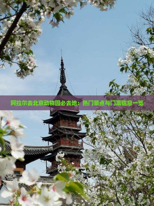 阿拉尔去北京动物园必去地：热门景点与门票信息一览