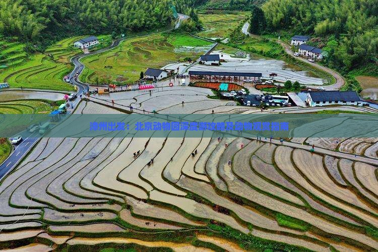 漳州出发：北京动物园深度游攻略及动物观赏指南