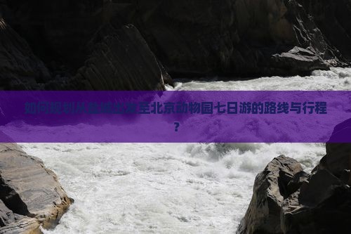 如何规划从盐城出发至北京动物园七日游的路线与行程？