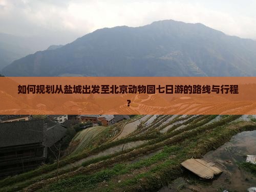 如何规划从盐城出发至北京动物园七日游的路线与行程？