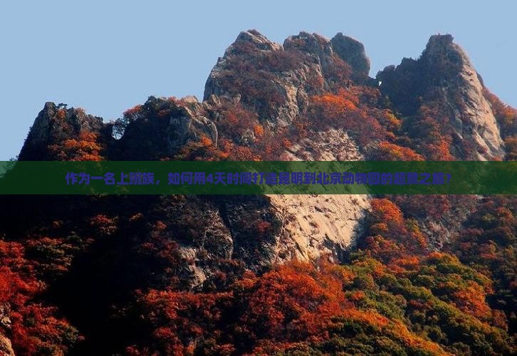 作为一名上班族，如何用4天时间打造昆明到北京动物园的超赞之旅？