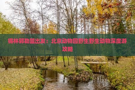 锡林郭勒盟出发：北京动物园野生野生动物深度游攻略