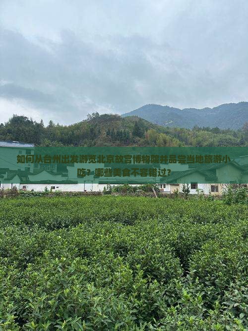 如何从台州出发游览北京故宫博物院并品尝当地旅游小吃？哪些美食不容错过？