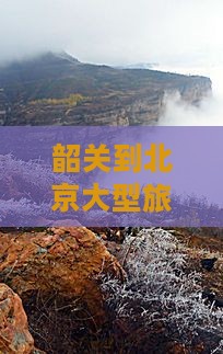 韶关到北京大型旅游团游北京动物园之旅