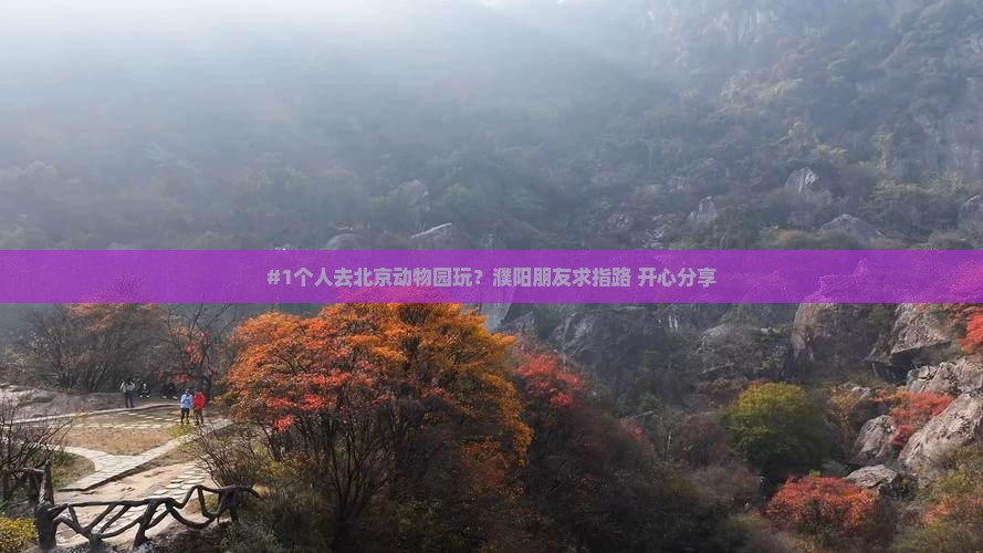 #1个人去北京动物园玩？濮阳朋友求指路+开心分享